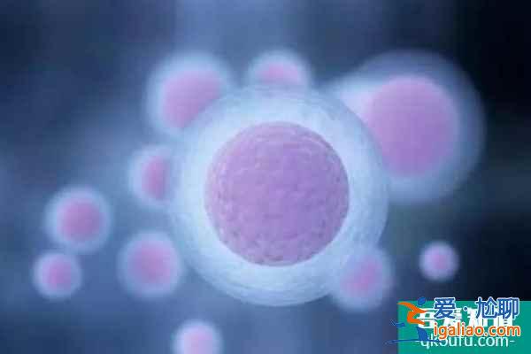 關于泰國試管嬰兒，常見的5個被誤傳的錯誤信息？