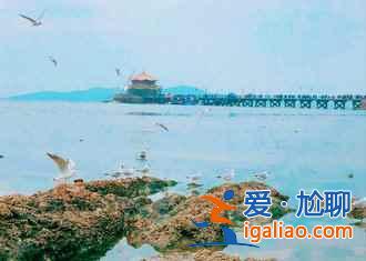 2018端午節去青島,不可錯過的美景與美食? 2018端午節去青島,不可錯過的美景與美食?