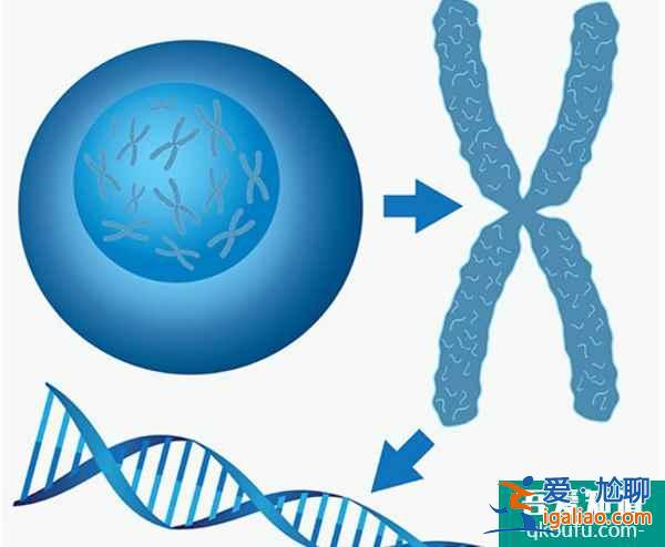 泰國試管嬰兒技術(shù)助您健康生雙胞胎？