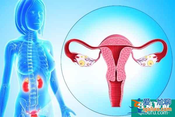 去國外做試管嬰兒,從以下三點出發保障成功率? 去國外做試管嬰兒,從以下三點出發保障成功率?