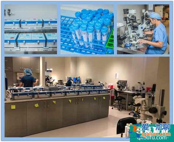 HRC試管嬰兒醫院成功率高的原因有哪些？？