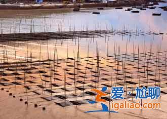 【清明節(jié)去霞浦?jǐn)z影】2018清明節(jié)去霞浦好玩嗎，霞浦清明節(jié)攝影指南？
