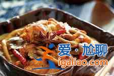 雞肉燉蘑菇？