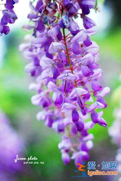 【清明節北京天氣】2018年清明節北京天氣,清明節北京穿什么? 【清明節北京天氣】2018年清明節北京天氣,清明節北京穿什么?