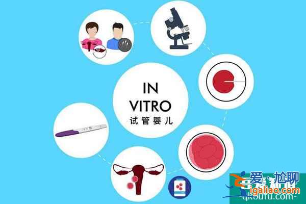 去泰國/做試管嬰兒生雙胞胎，應該注意哪些方面？？