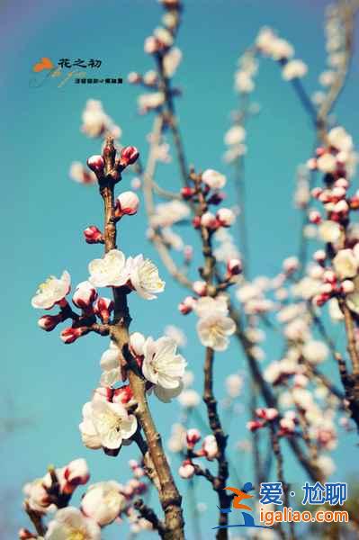 【清明節北京天氣】2018年清明節北京天氣,清明節北京穿什么? 【清明節北京天氣】2018年清明節北京天氣,清明節北京穿什么?