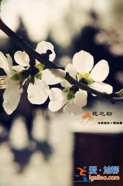 【清明節北京天氣】2018年清明節北京天氣,清明節北京穿什么? 【清明節北京天氣】2018年清明節北京天氣,清明節北京穿什么?