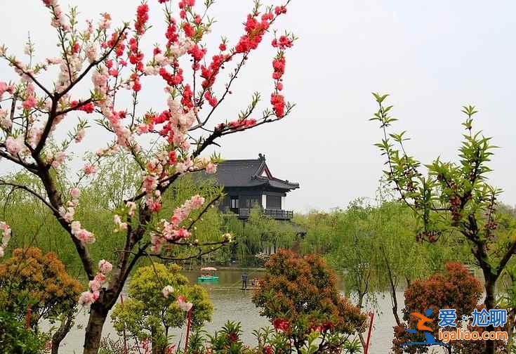 2017南匯桃花節(jié)地址、門票，2017南匯桃花節(jié)？