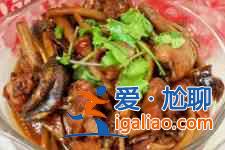 茶樹菇燉雞的做法大全？