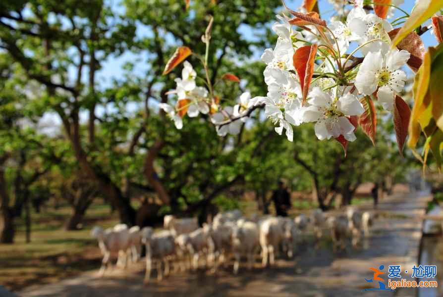 【清明節去甘肅】2018清明節甘肅旅游去哪好，清明節甘肅哪里好玩？