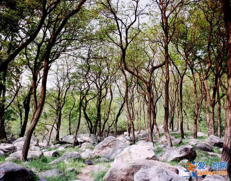 清明節(jié)去泰山穿什么,清明節(jié)去泰山人多嗎? 清明節(jié)去泰山穿什么,清明節(jié)去泰山人多嗎?