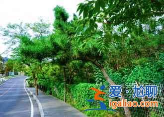 【遼寧清明節(jié)去哪玩】2018遼寧清明節(jié)旅游好去處，清明節(jié)遼寧省內(nèi)游？