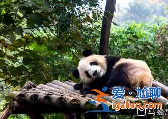 龍泉桃花溝門票價格是多少,龍泉桃花溝交通信息? 龍泉桃花溝門票價格是多少,龍泉桃花溝交通信息?