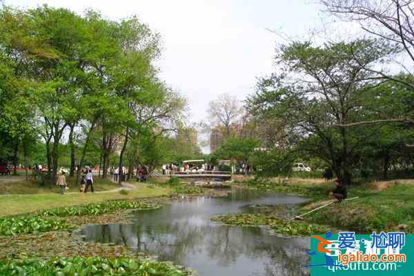 上海植物園什么時候開始免門票?又怎么預約?這份注意事項請收好？