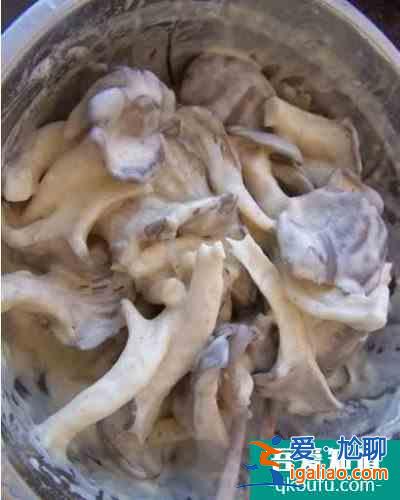 酥脆可口的炸蘑菇做法大全？