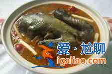 烏雞湯的做法大全？