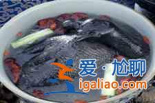 烏雞湯的做法大全？