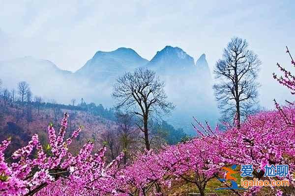 【春天去哪看桃花】2017國內賞桃花7大好去處？