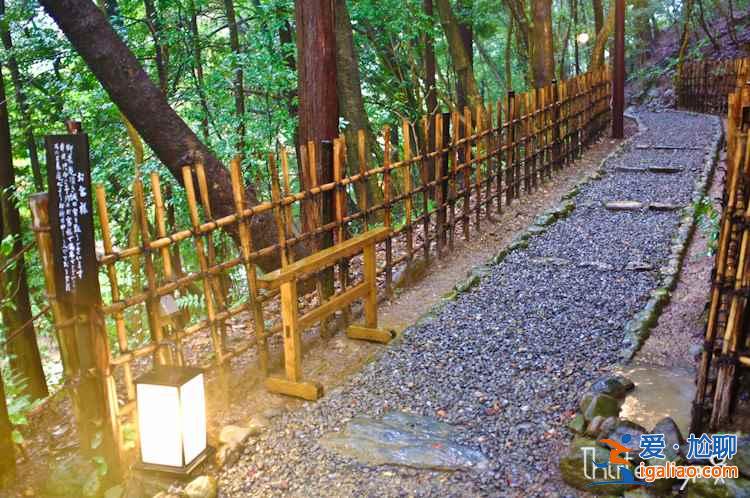 【攝影技巧】日系清新照片拍攝指南? 【攝影技巧】日系清新照片拍攝指南?