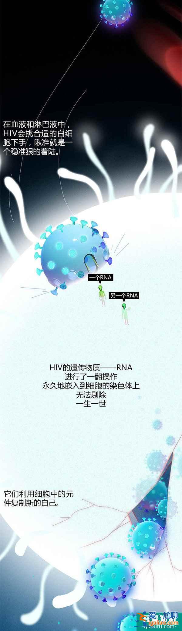 HIV的生育夢——世界艾滋病日 消除歧視 安全孕育？