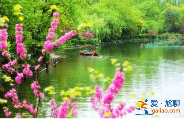中國最美十大桃花“劫”，人見人愛！？
