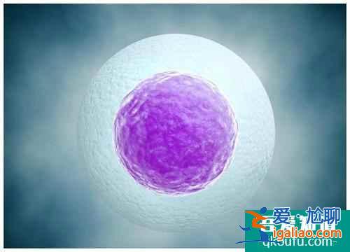 第三代試管嬰兒如何解決染色體遺傳問題?? 第三代試管嬰兒如何解決染色體遺傳問題??