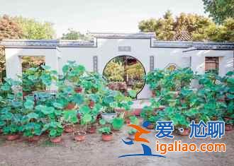 2018金湖荷花節(jié),金湖荷花蕩在哪—門票,金湖荷花藝術(shù)節(jié)? 2018金湖荷花節(jié),金湖荷花蕩在哪—門票,金湖荷花藝術(shù)節(jié)?