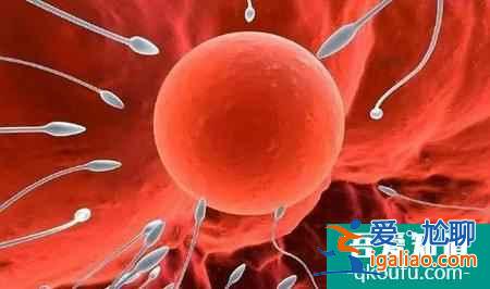 三代試管嬰兒怎么避免胎停?? 三代試管嬰兒怎么避免胎停??