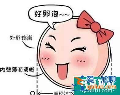 懷孕適合的卵泡大小和內膜厚度是多少？