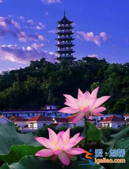 橋頭荷花節什么時候開始，2018橋頭荷花節時間？