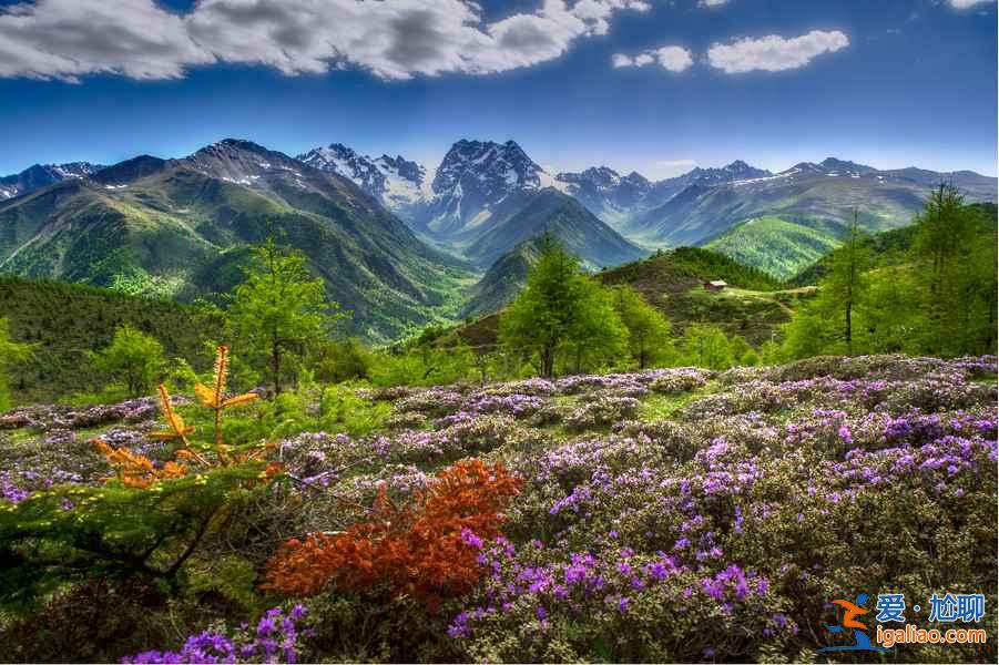適合情侶的10種旅行體驗(yàn)，你選哪一種？？