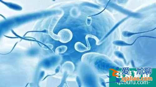 精子質量不好難養成囊胚！提高養囊率的方法有什么？
