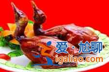 鴿子的做法？