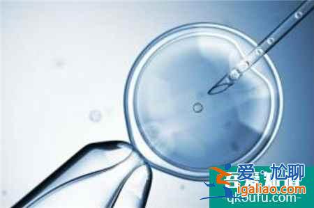 試管嬰兒中什么樣的胚胎才是好胚胎?？