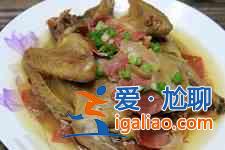 鴿子的做法？
