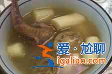 鴿子的做法？