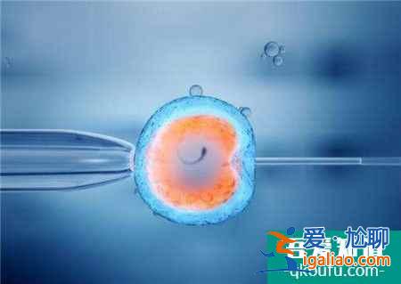 促排卵治療會引發卵巢早衰嗎?? 促排卵治療會引發卵巢早衰嗎??