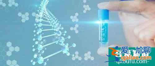 試管嬰兒中什么樣的胚胎才是好胚胎?？