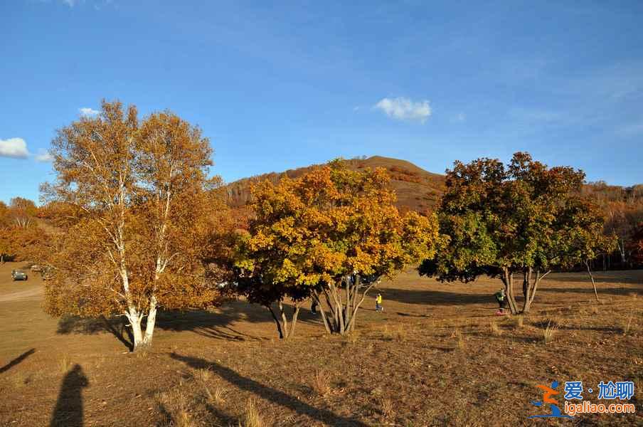 行攝天堂,天然攝影基地大盤點? 行攝天堂,天然攝影基地大盤點?