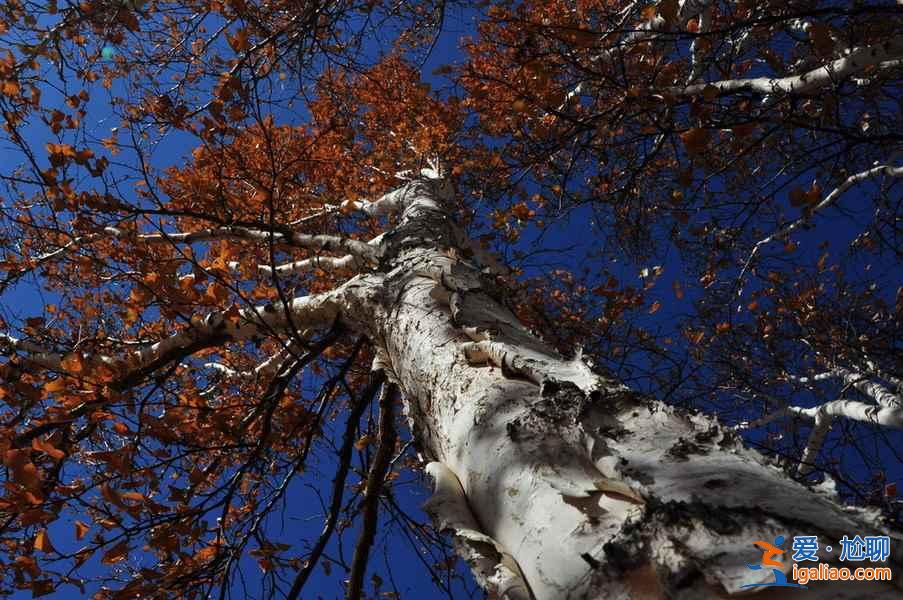 行攝天堂,天然攝影基地大盤點? 行攝天堂,天然攝影基地大盤點?