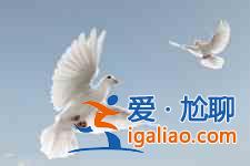 清蒸鴿子的做法？