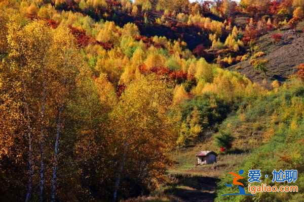 行攝天堂,天然攝影基地大盤點? 行攝天堂,天然攝影基地大盤點?