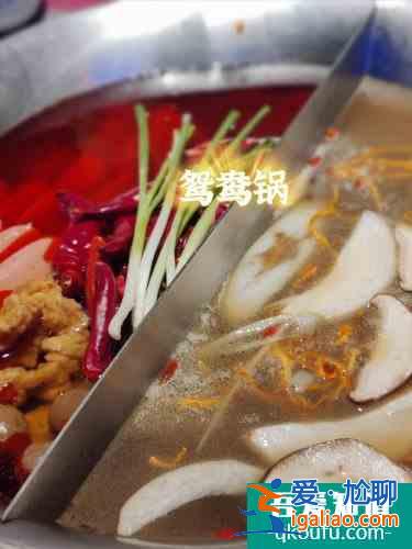 魔都明星店|辣斗辣老火鍋果然贊？