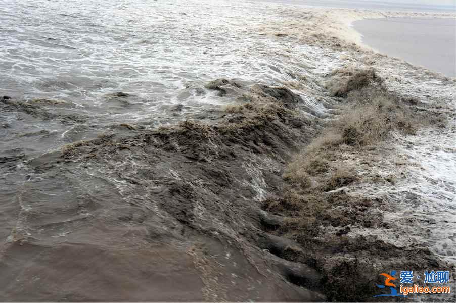 金庸筆下的十大旅游勝地? 金庸筆下的十大旅游勝地?