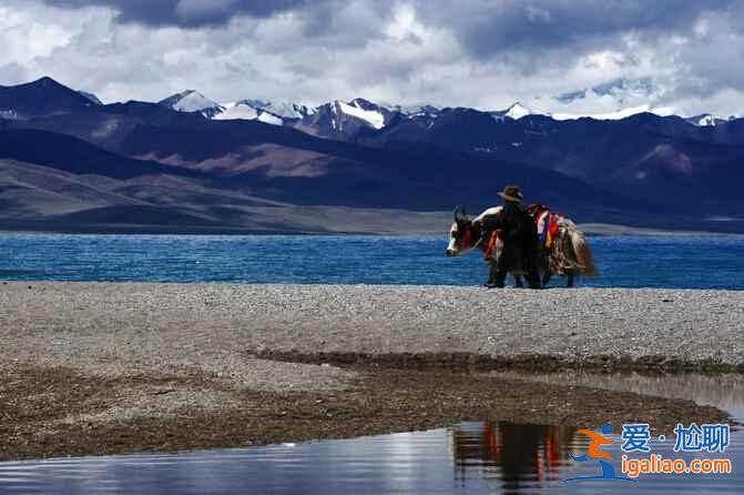 網友關于旅行目的地的神總結,你怎么看?? 網友關于旅行目的地的神總結,你怎么看??