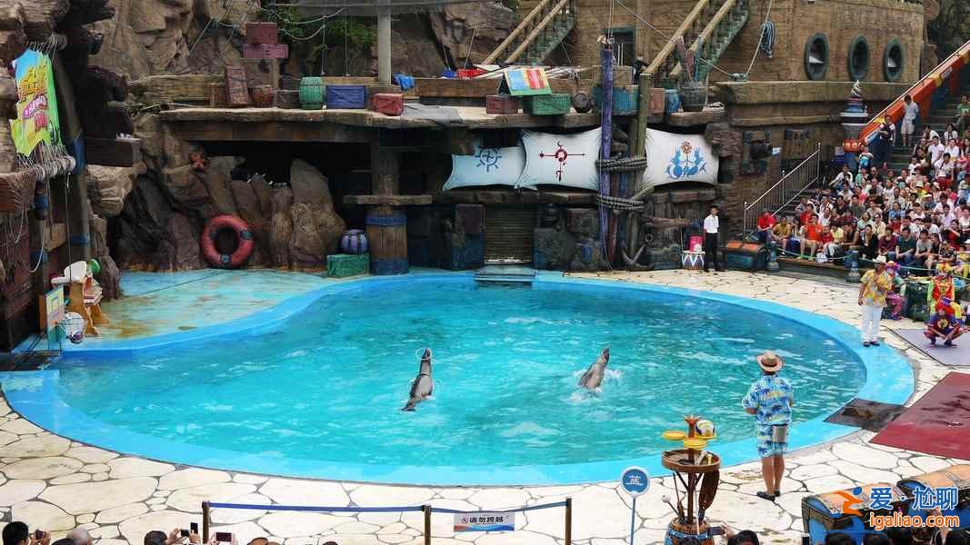 國內九大游樂園，春節嗨起來！？