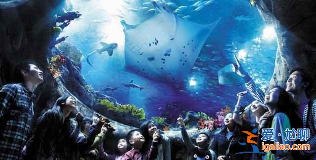 國內九大游樂園，春節嗨起來！？
