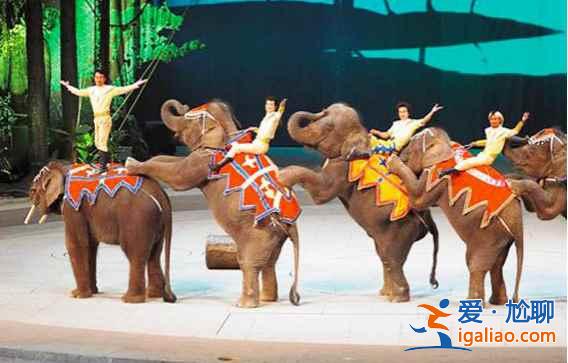 國內九大游樂園，春節嗨起來！？