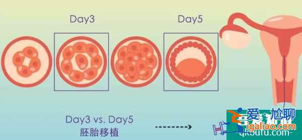 試管嬰兒：用一個試管周期成就一生求子心愿？