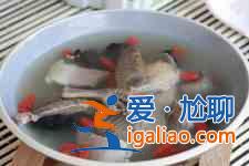 鴿子湯怎么燉？